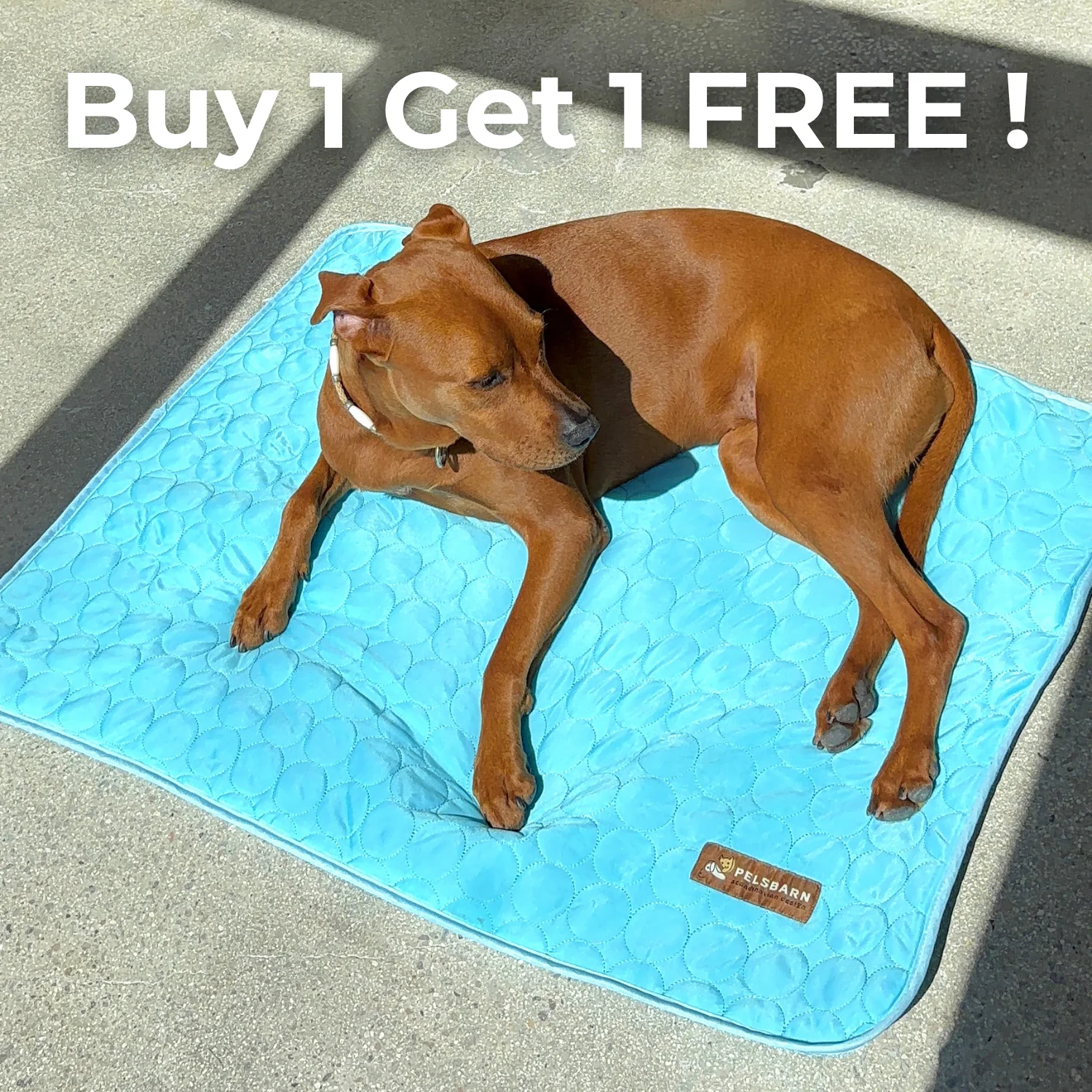 Thumbnail 21